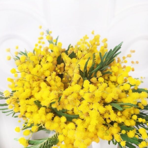 Мимоза - купить букет мимозы в СПб недорого