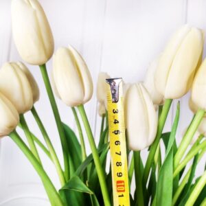 Букет 25 высоких белых тюльпанов Maureen (65-75см)