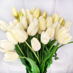 Букет 51 высокий белый тюльпан Maureen 65-75см