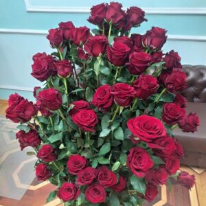 Букет 101 красная роза (110-160см)
