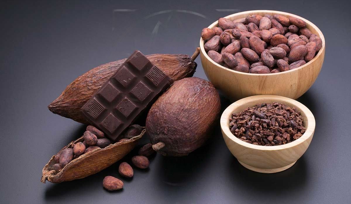 Набор 60 тарелочек из какао-бобов (тропический сухоцвет)