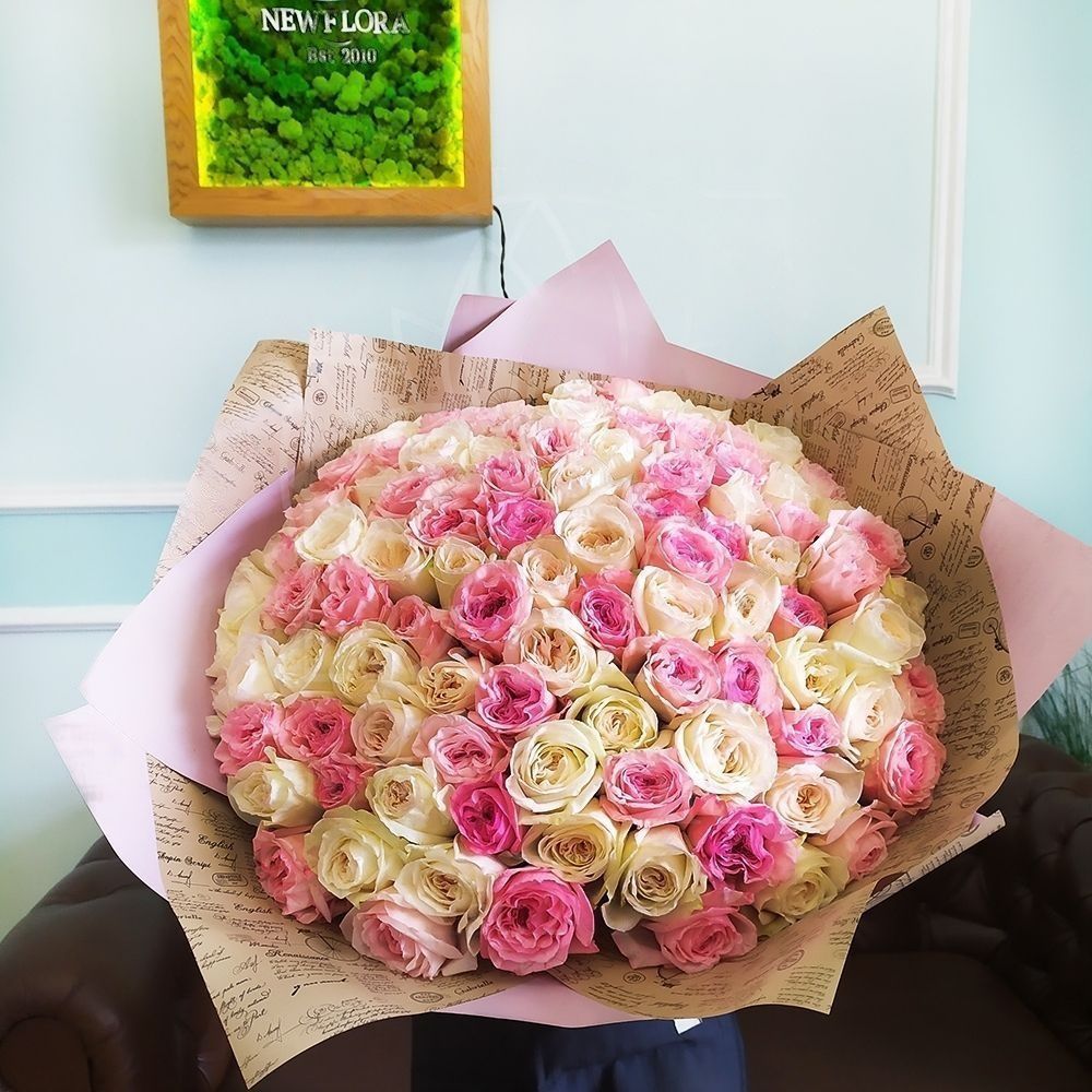 Букет 101 пионовидная ароматная роза White и Pink Ohara