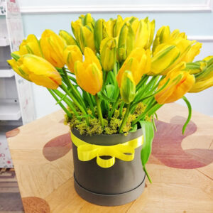 Шляпная коробка  желтых тюльпанов со стабилизированным мхом