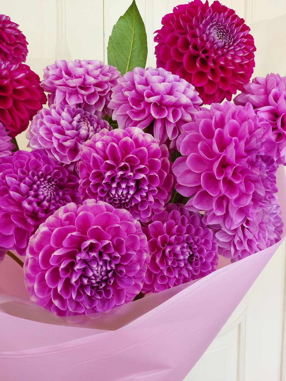 Георгины Purple Bouquet